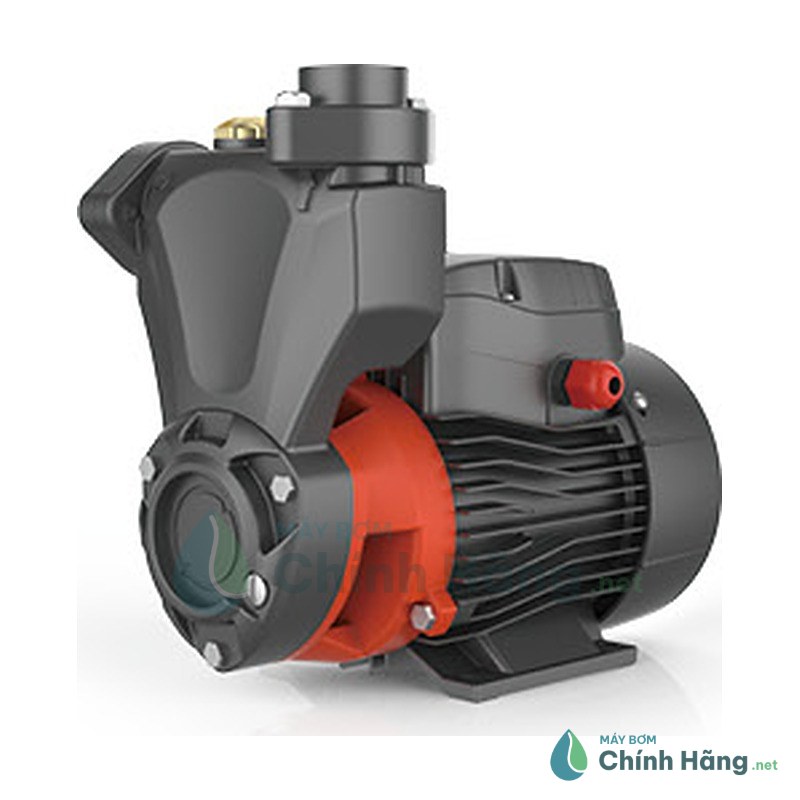 Máy bơm chân không Lepono APSm 75 (750w)