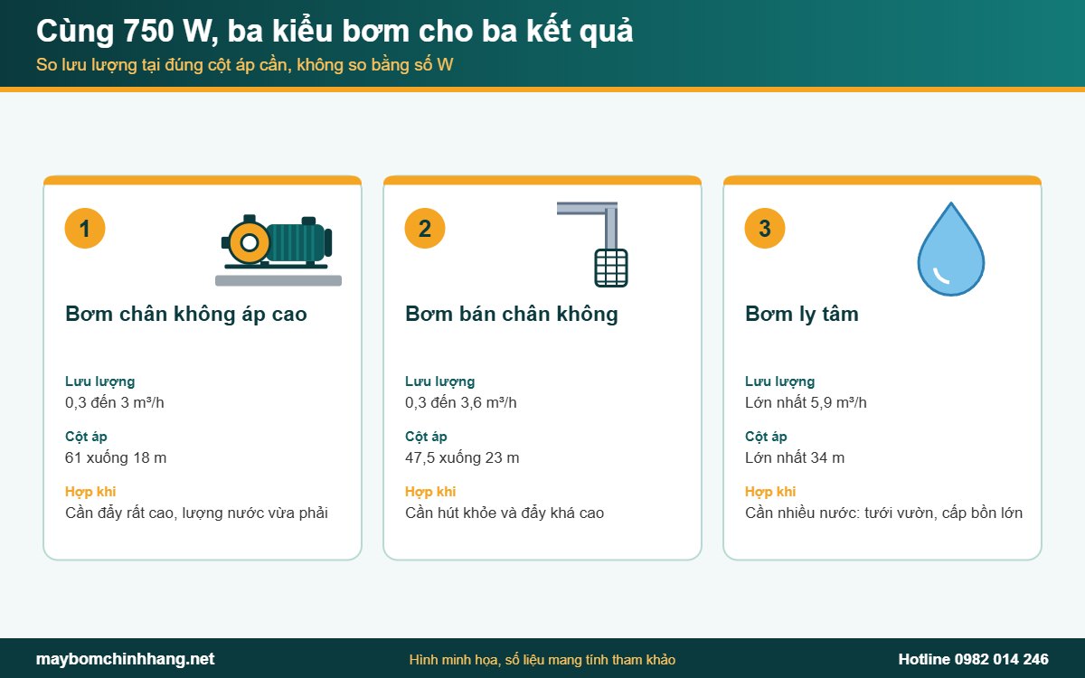 Máy bơm 750W: ba kiểu bơm cho lưu lượng và cột áp khác nhau
