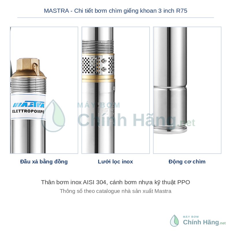 Chi tiết đầu xả, thân và lưới lọc bơm chìm giếng khoan Mastra R75-T23
